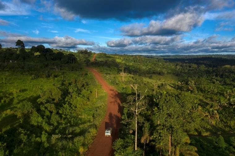 Selva del Amazonas. Foto AFP