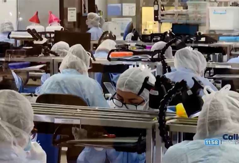 Mujeres son mayoría en universidades ticas, pero se concentran en ciertas carreras